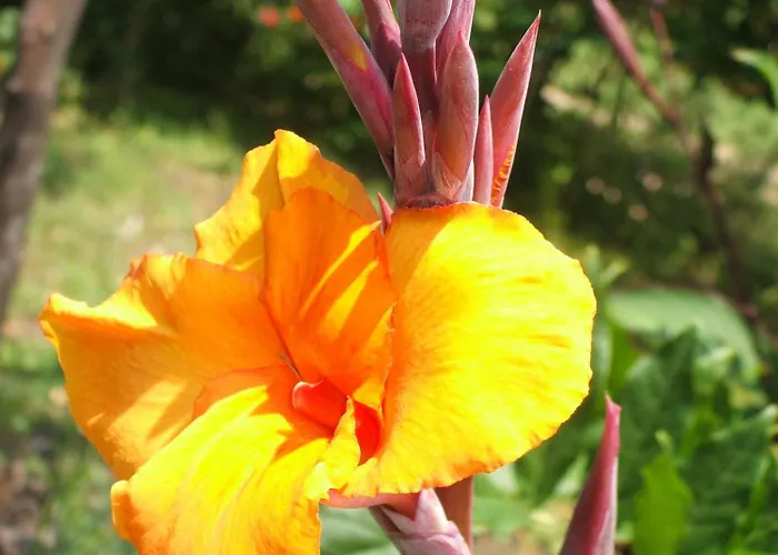 Bed & Breakfast Giovanna Giardini Naxos