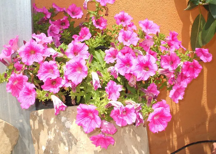 Giovanna Bed & Breakfast Giardini Naxos