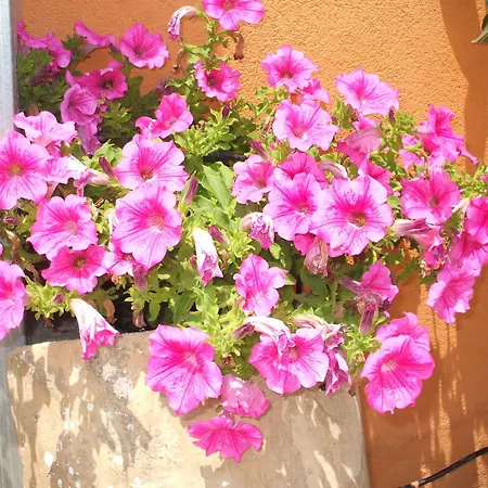 Giovanna Bed & Breakfast Giardini Naxos